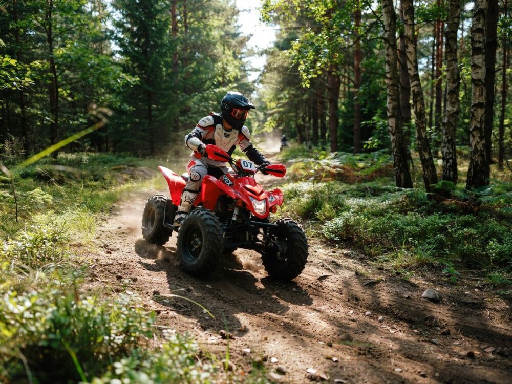 quad z kierowcą